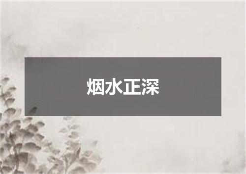 烟水正深