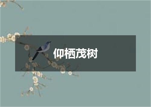 仰栖茂树