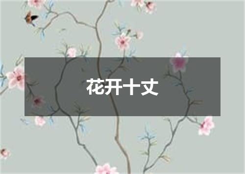 花开十丈