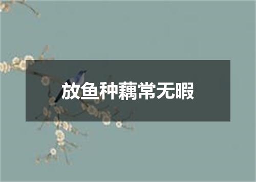 放鱼种藕常无暇