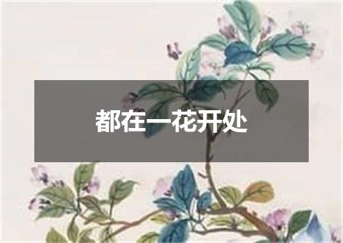 都在一花开处