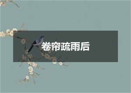 卷帘疏雨后