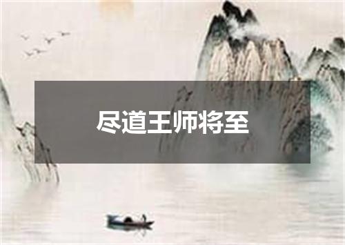 尽道王师将至