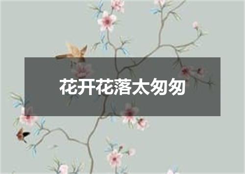 花开花落太匆匆