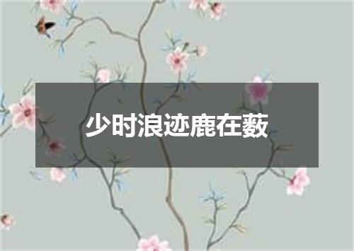 少时浪迹鹿在薮