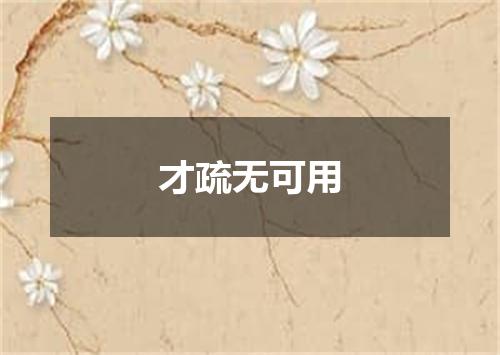 才疏无可用