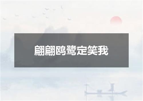 翩翩鸥鹭定笑我