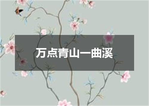 万点青山一曲溪