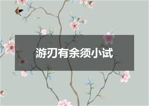 游刃有余须小试