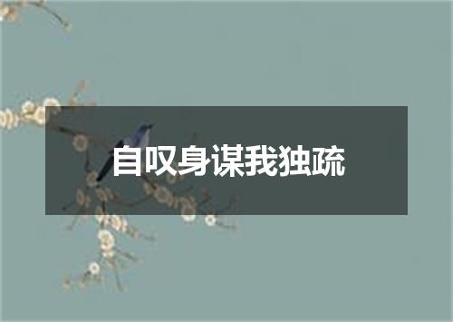 自叹身谋我独疏