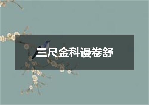 三尺金科谩卷舒