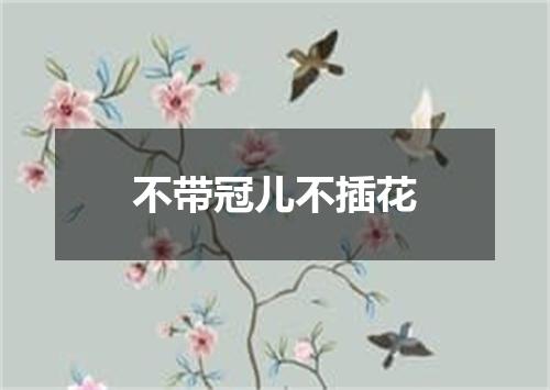 不带冠儿不插花