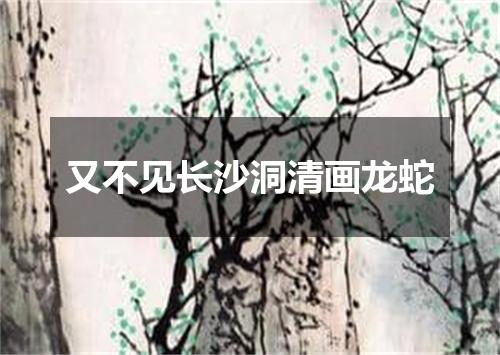 又不见长沙洞清画龙蛇