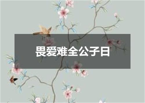 畏爱难全公子日