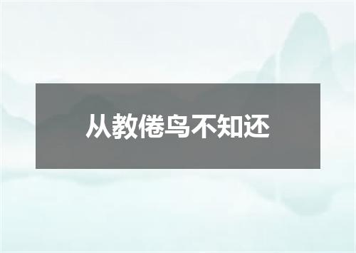 从教倦鸟不知还