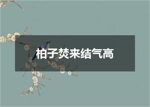 柏子焚来结气高