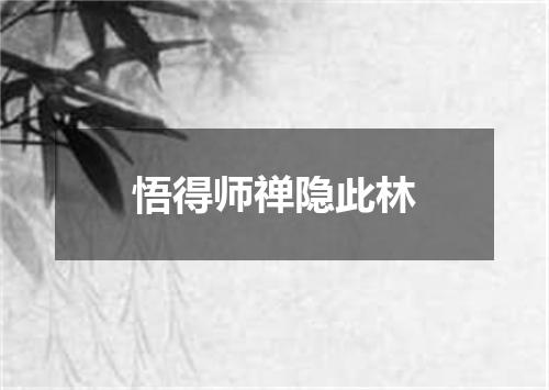 悟得师禅隐此林