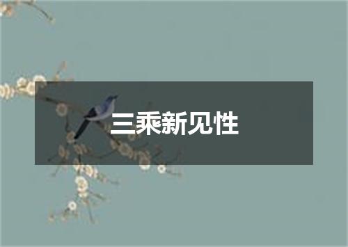 三乘新见性