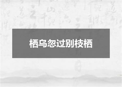 栖乌忽过别枝栖