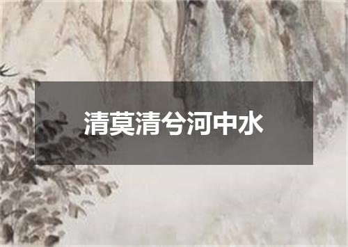 清莫清兮河中水