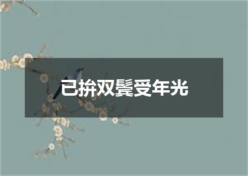 已拚双鬓受年光