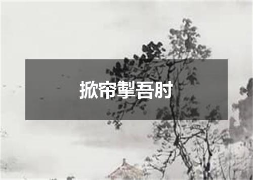 掀帘掣吾肘