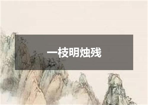 一枝明烛残