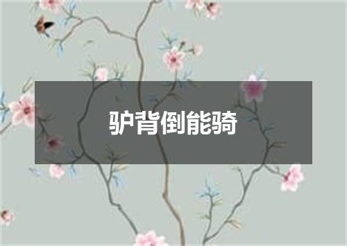 驴背倒能骑