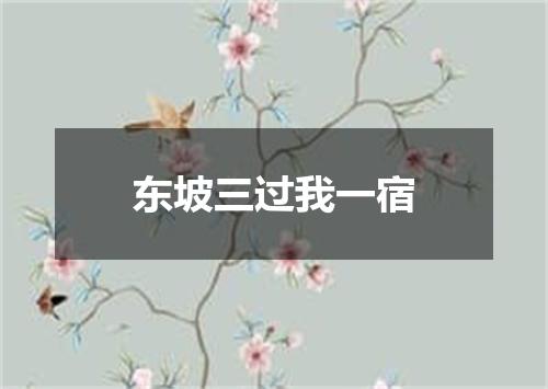 东坡三过我一宿