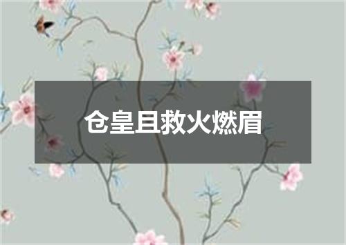 仓皇且救火燃眉