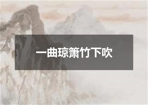 一曲琼箫竹下吹