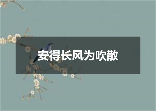 安得长风为吹散