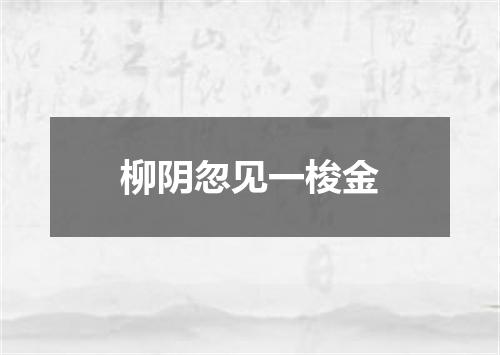 柳阴忽见一梭金