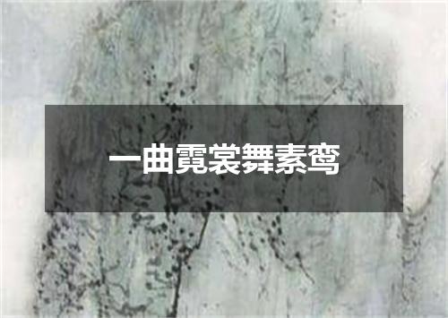 一曲霓裳舞素鸾