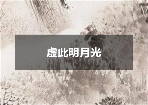 虚此明月光