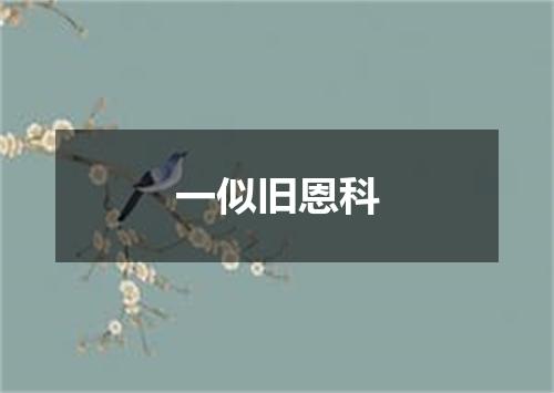 一似旧恩科