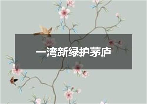 一湾新绿护茅庐