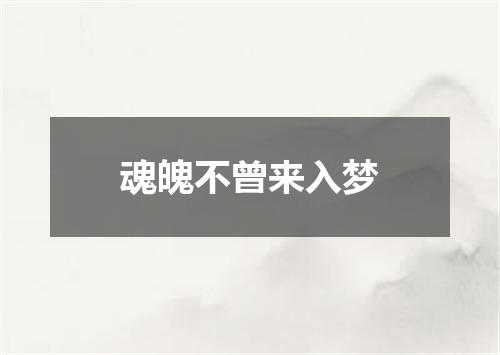 魂魄不曾来入梦