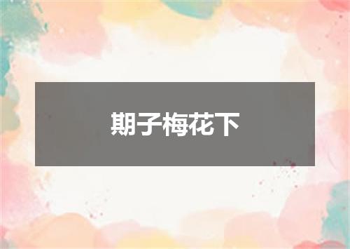 期子梅花下