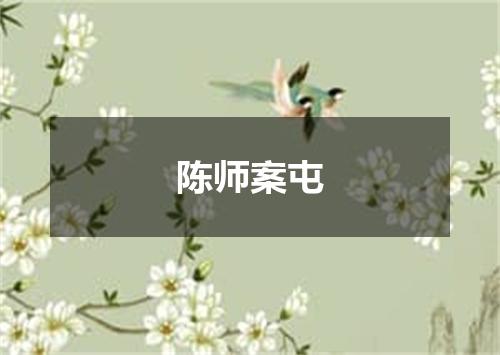 陈师案屯