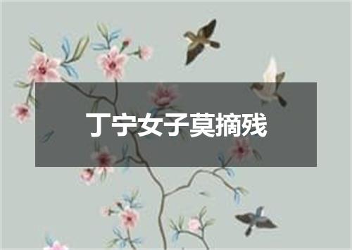 丁宁女子莫摘残