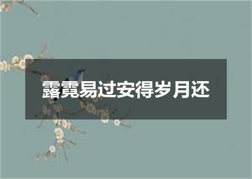 露霓易过安得岁月还