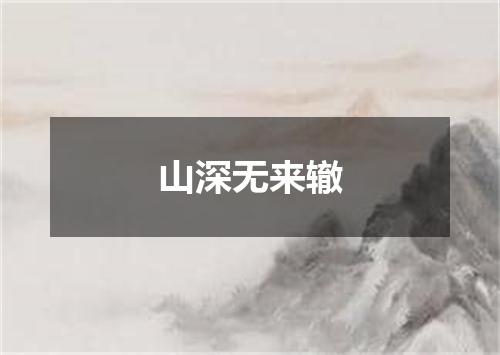 山深无来辙