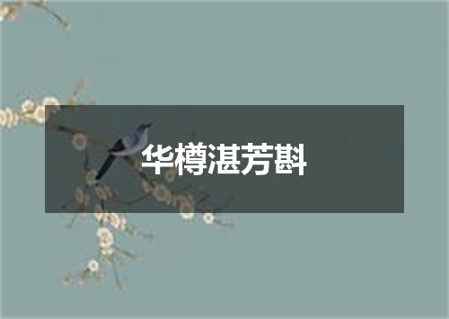 华樽湛芳斟