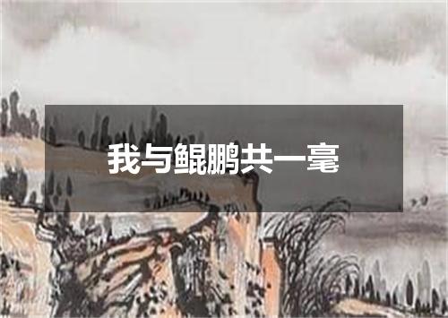 我与鲲鹏共一毫