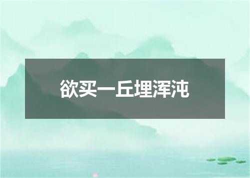 欲买一丘埋浑沌