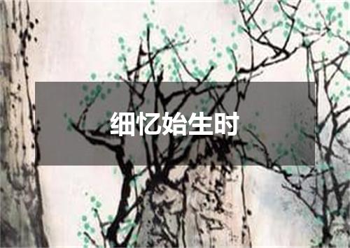 细忆始生时