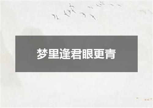 梦里逢君眼更青