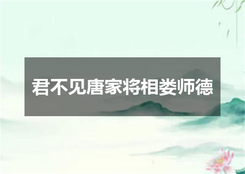 君不见唐家将相娄师德