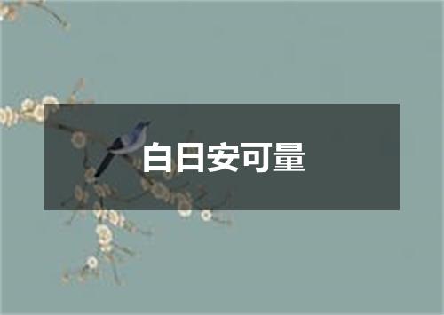 白日安可量